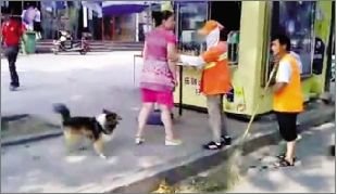 環衛工遭狗主人追罵