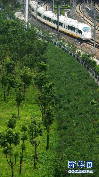 京滬高鐵調整運行圖 減開列車22對
