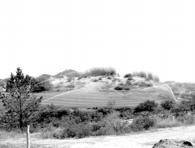 違規審批愈演愈烈 高爾夫與人爭水爭地何時休？