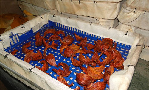 血燕被曝100%不合格 京城藥店仍在售天價燕窩