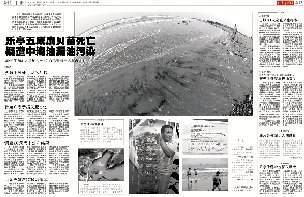 蓬萊溢油事故調查組:將組織受損漁民索賠(圖)