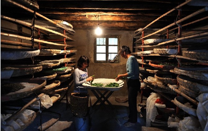 高清:截肢“籃球女孩”泳池逐夢殘奧會