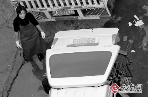 記者暗訪殺狗黑作坊:滿處血污恍如地獄(組圖)