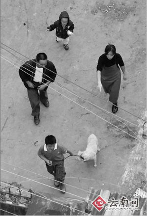 記者暗訪殺狗黑作坊:滿處血污恍如地獄(組圖)