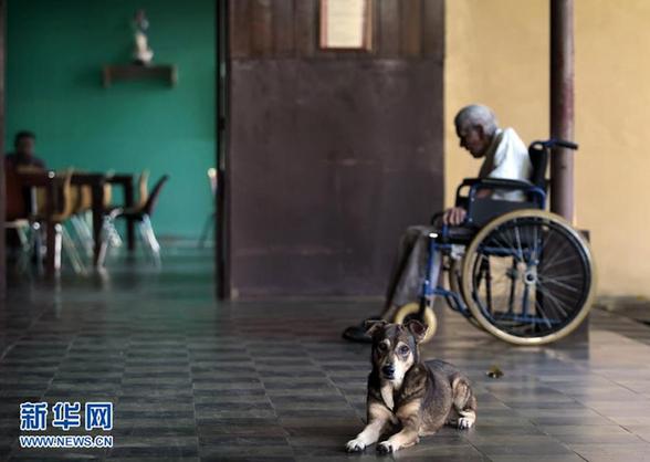 地球總人口數將突破70億大關 生命之重