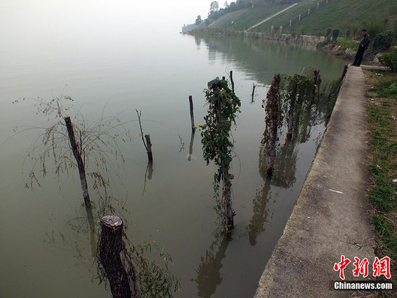 三峽水庫再次實現(xiàn)175米蓄水