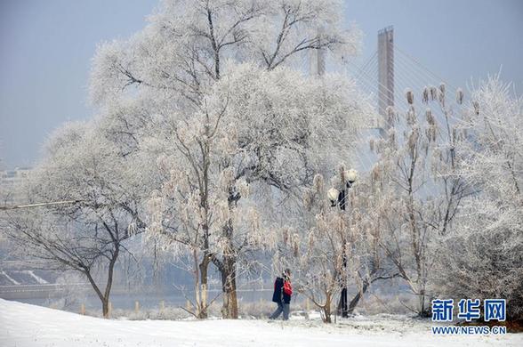 中央氣象臺繼續發布寒潮藍色預警