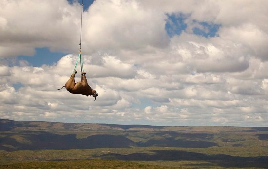 《時(shí)代》評出2011年度驚訝照片(圖)