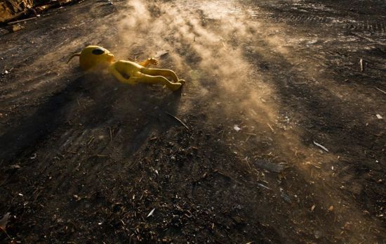 《時代》評出2011年度驚訝照片(圖)