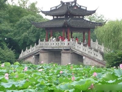 老婆才是奢侈品 2011十城娶親成本大曝光