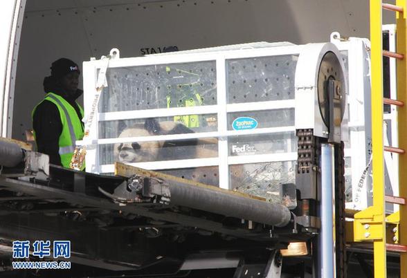 中國(guó)贈(zèng)法大熊貓