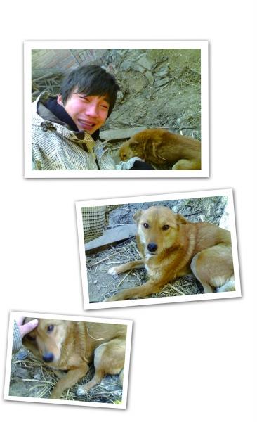 愛犬丟失7年后重逢 “人狗情未了”感動網友(圖)