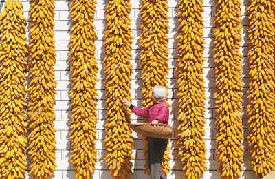 2011,開局之年的“中國答卷”