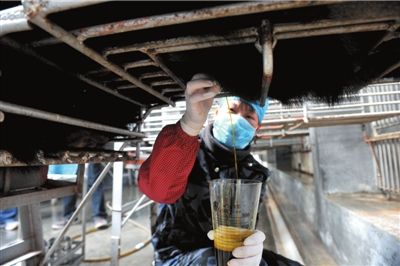 中醫(yī)藥管理局:名貴動物源中藥將研發(fā)替代品