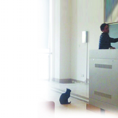 蘇大學術貓“喵喵軍團”躥紅網絡