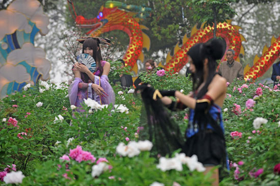 武漢一牡丹園驚現“偽娘團”