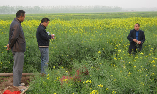 春耕化肥供應充足 科學施肥助農降本增效
