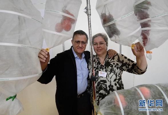 生活如此有趣 那些“天才創(chuàng)新者”教我們的事