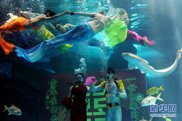 濟南：海底婚禮 見證別樣的“?？菔癄€”