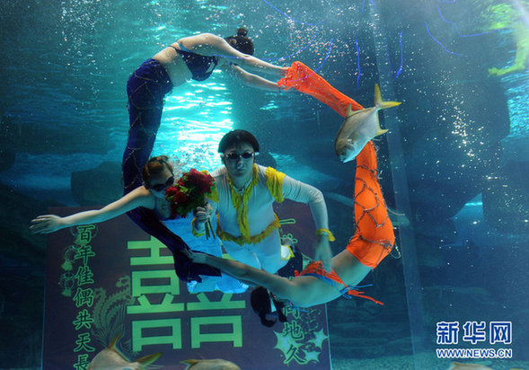 濟南：海底婚禮 見證別樣的“海枯石爛”