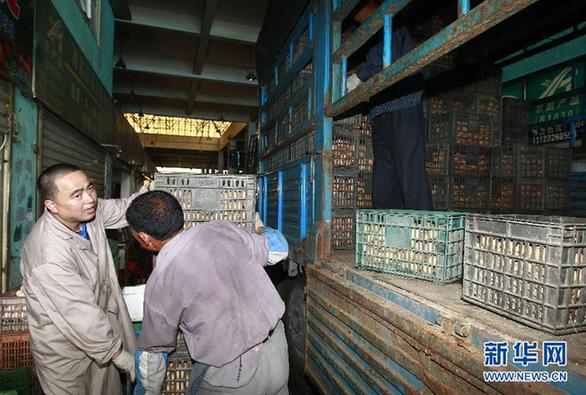 多地雞蛋價格飛漲 網友戲稱“火箭蛋”