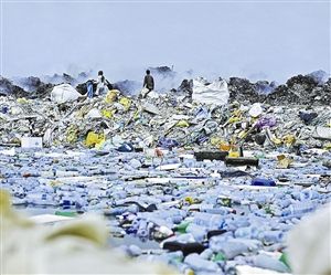 馬爾代夫“天堂島”淪為垃圾場 每天要焚燒330噸廢物