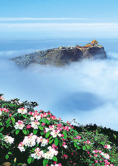 國內(nèi)多座佛教名山卷入“圈錢”大潮 準備上市引爭議