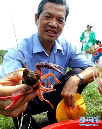高清大圖:不只是食人魚 警惕“外來物種入侵”