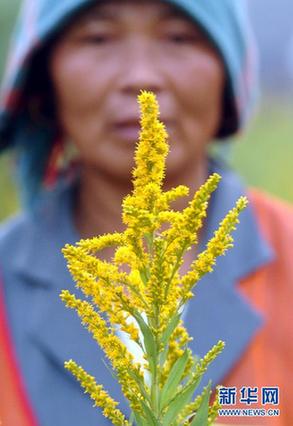 高清大圖:不只是食人魚 警惕“外來物種入侵”