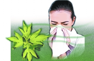 哪些外來生物已經入侵北京?