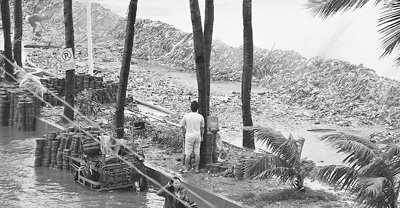 面對(duì)極端天氣 其他國(guó)家如何應(yīng)對(duì)?