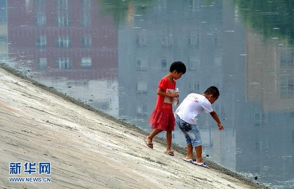汛期以來雨多 河中嬉水，險！