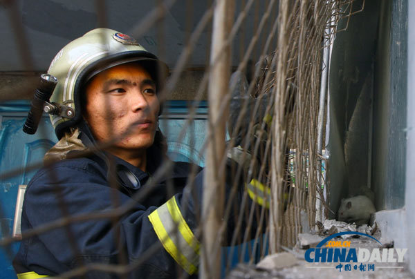 長春一居民家現18只老鼠 消防員徒手捕鼠1小時