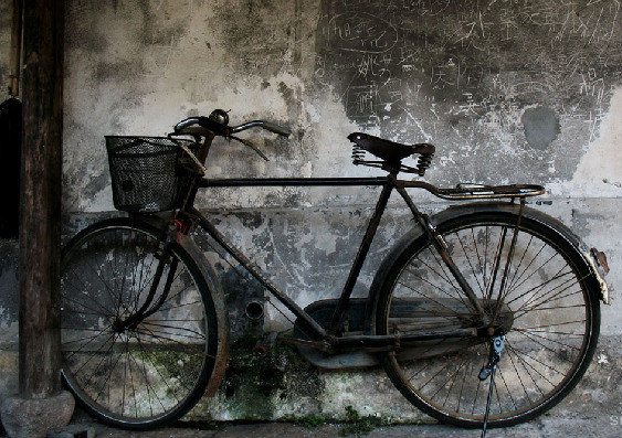 第一份工資,你給誰花了?