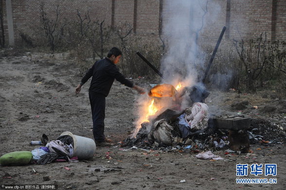 1500余只狗饑餓等死 驚現狗吃狗現象