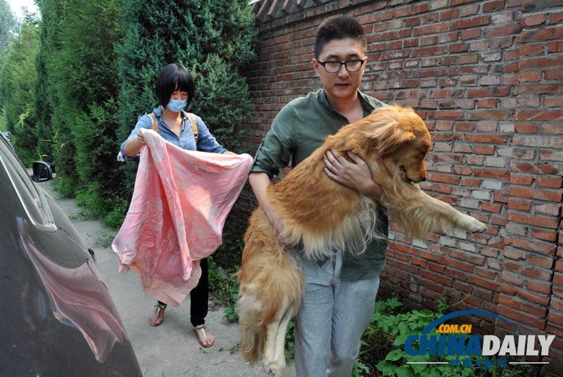 高清：寵物狗航空托運死亡 數十愛心人士送別