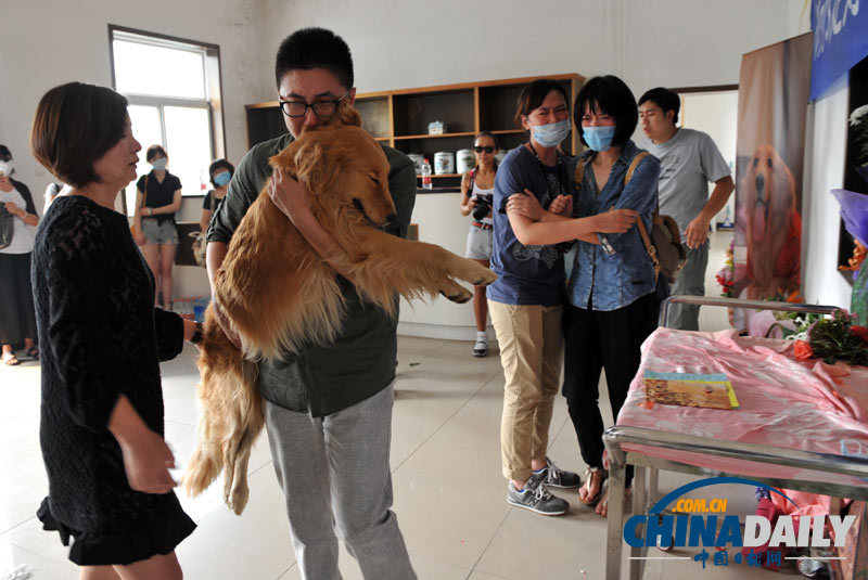 高清：寵物狗航空托運死亡 數(shù)十愛心人士送別