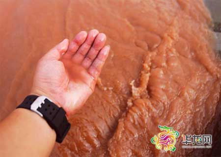 重慶環(huán)保部門調(diào)查長江水變紅 稱泥沙所致無毒