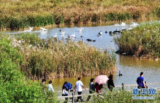 中秋國慶長假期間全國119個景區接待游客超過3400萬