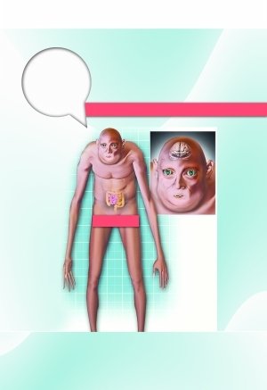 科學(xué)家預(yù)測千年后人類模樣 四肢變長皺紋更多