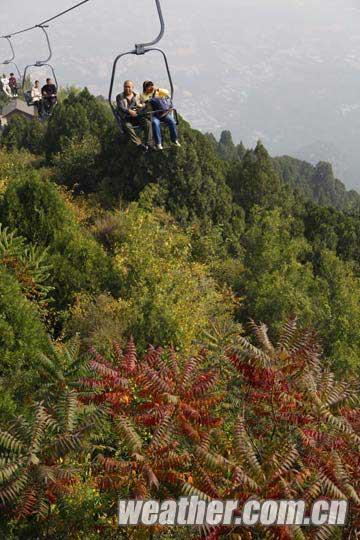 第24屆香山紅葉文化節開幕 氣溫導致紅葉變色推遲(圖)