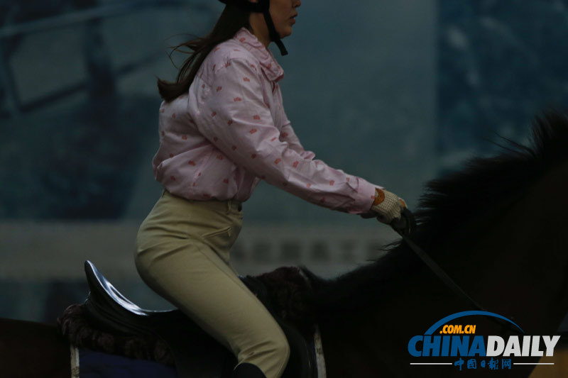 探訪京城頂級馬術俱樂部