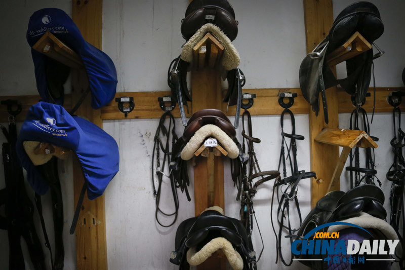 探訪京城頂級馬術俱樂部