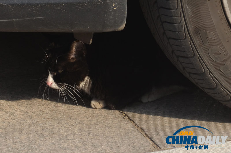 高清：網友直擊最高法“12·4”公眾開放日