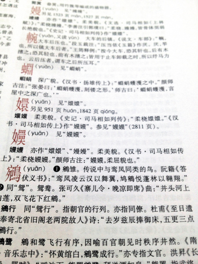 湖南專家叫板《咬文嚼字》 甄嬛念“甄環”沒錯