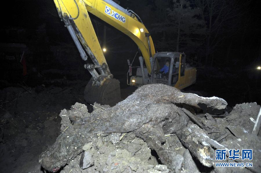 云南鎮雄山體滑坡46人全部遇難