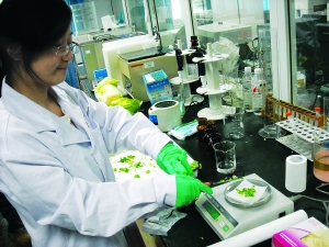 有蟲眼兒的菜沒打藥？實驗表明：也有農藥殘留