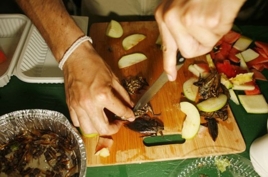 讓人目瞪口呆的“非主流”詭異食物