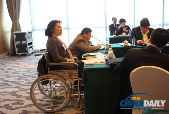 專訪十二屆政協委員、中國殘聯主席張海迪