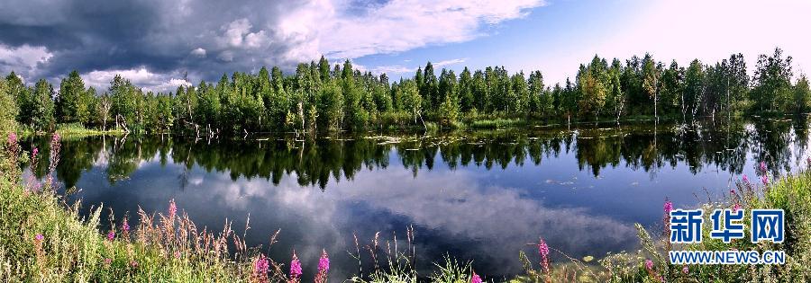 植樹造林，我們一直在行動